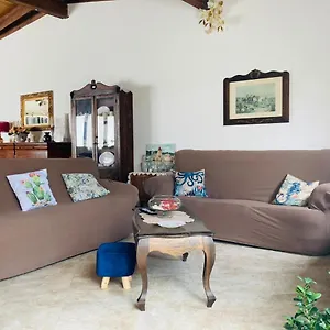 La Maiolica Marsala